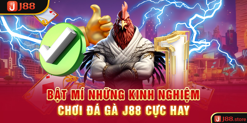 Trải Nghiệm Đá Gà J88 Và Rinh Về Phần Thưởng Cực Khủng - sanobe