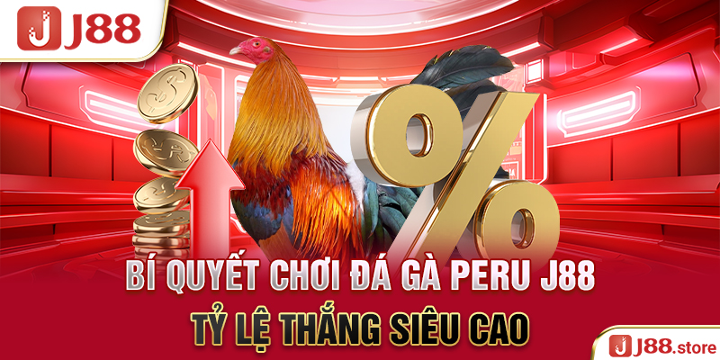 Đá Gà Peru J88 - Thần Kê Quy Tụ Cùng Nhau Tranh Tài Hấp Dẫn - sanobe