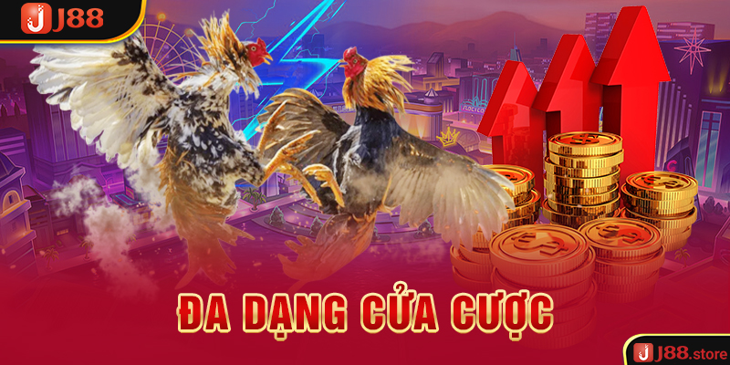 Trải Nghiệm Đá Gà J88 Và Rinh Về Phần Thưởng Cực Khủng - sanobe