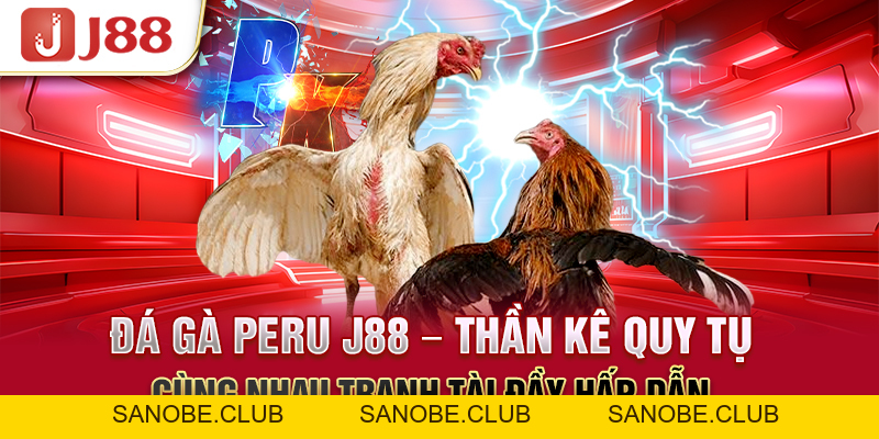 Đá Gà Peru J88 - Thần Kê Quy Tụ Cùng Nhau Tranh Tài Hấp Dẫn - sanobe