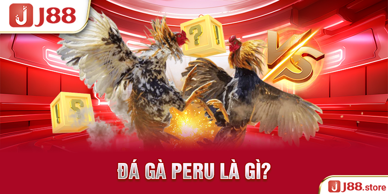 Đá Gà Peru J88 - Thần Kê Quy Tụ Cùng Nhau Tranh Tài Hấp Dẫn - sanobe