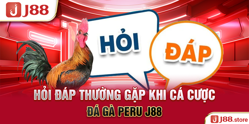 Đá Gà Peru J88 - Thần Kê Quy Tụ Cùng Nhau Tranh Tài Hấp Dẫn - sanobe