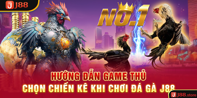Trải Nghiệm Đá Gà J88 Và Rinh Về Phần Thưởng Cực Khủng - sanobe