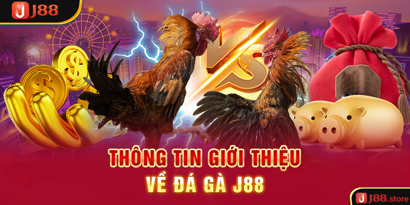 Trải Nghiệm Đá Gà J88 Và Rinh Về Phần Thưởng Cực Khủng - sanobe
